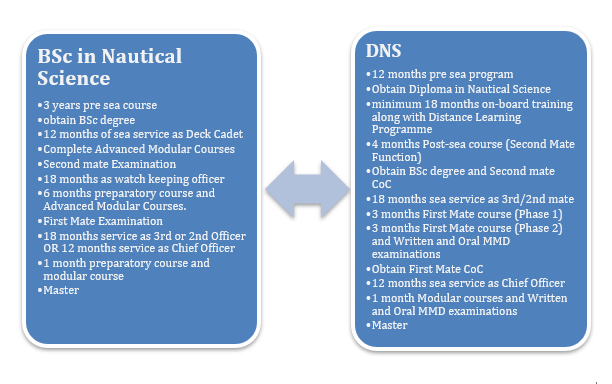 BSc nautical science vs DNS: Career Progression