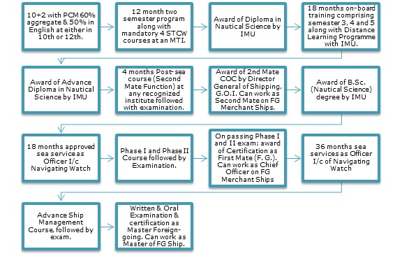 Career path after DNS