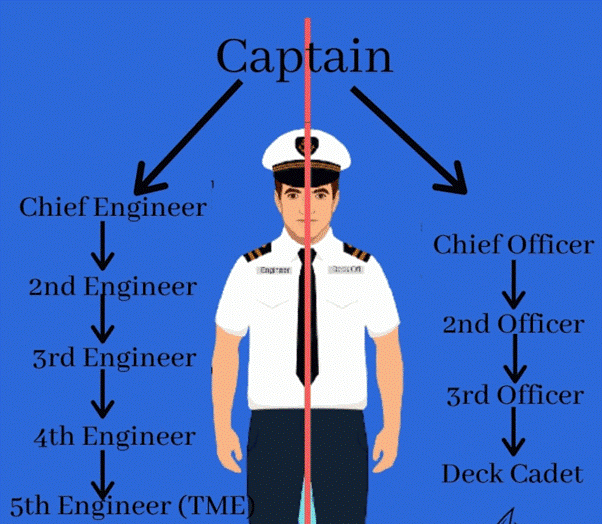 Rank distribution of Engine and Deck side of Merchant Navy Officers