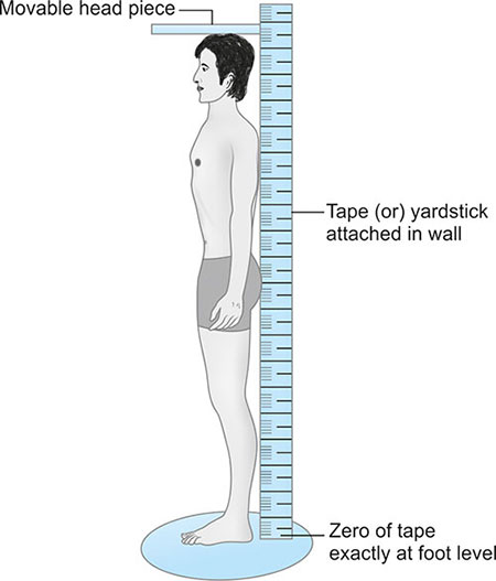 Height Test