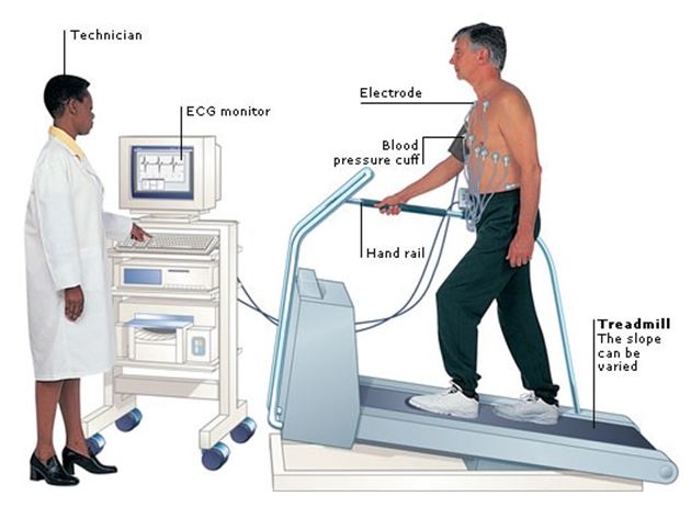 Treadmill Test height and weight