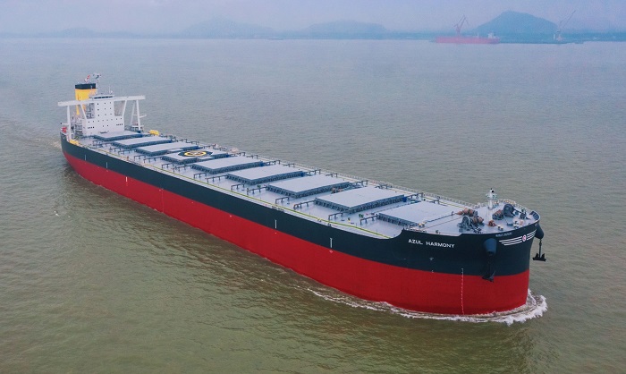 Bulk Carrier