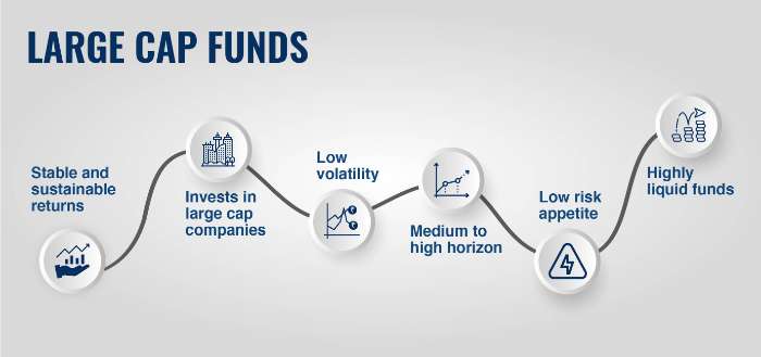 large cap mutual funds