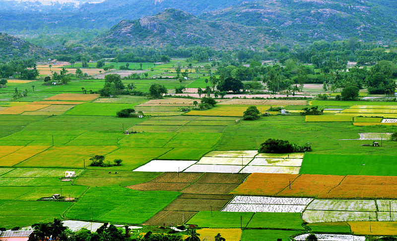 agricultural land investments