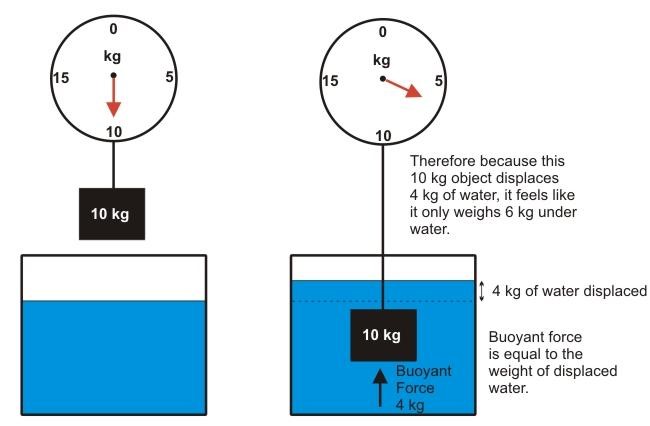 Weight of a body showing Archimedes principle.What is Archimedes' principle?