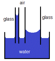 Fig: Capillarity of water. What is Capillarity?