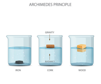 Archimedes Principle.What is Archimedes' principle?