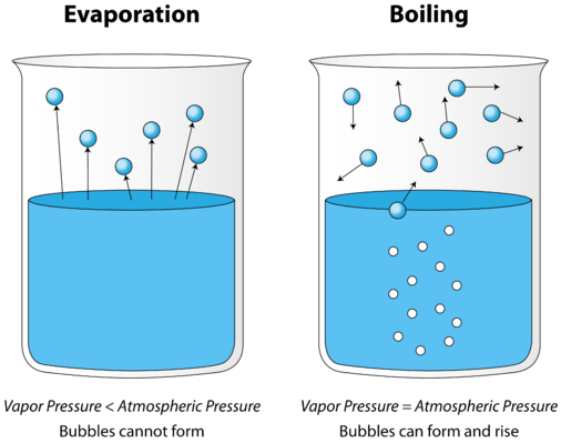 What is Evaporation and boiling?Difference between evaporation and boiling