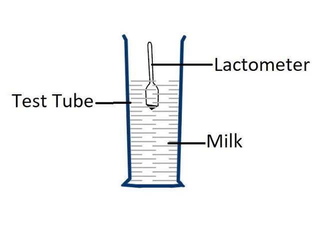 Lactometer. What is Archimedes' principle?
