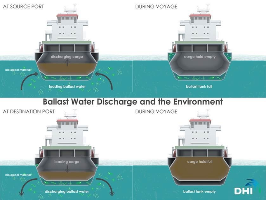 ballast water discharge and the environment