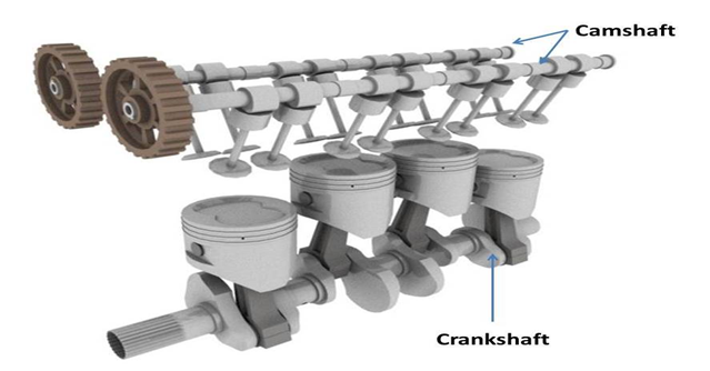 Camshaft and cams