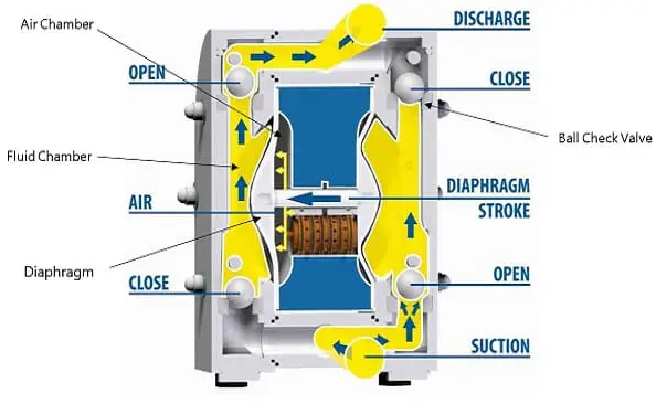 Diaphragm positive displacement pump
