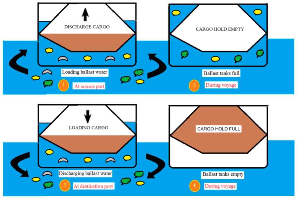 parts of ship