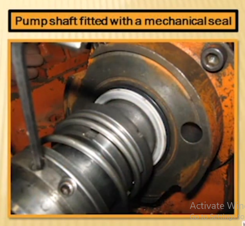 mechanical seal