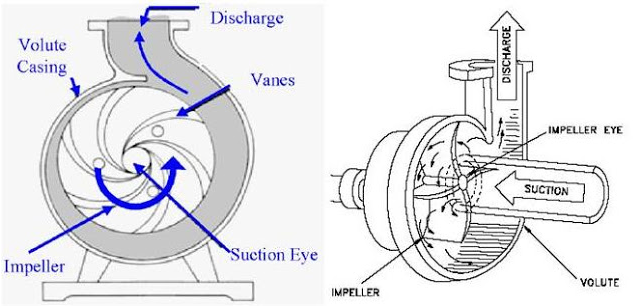 centrifugal pump