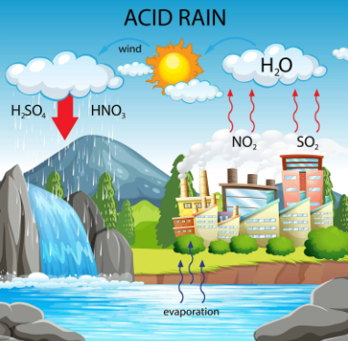 acid rain