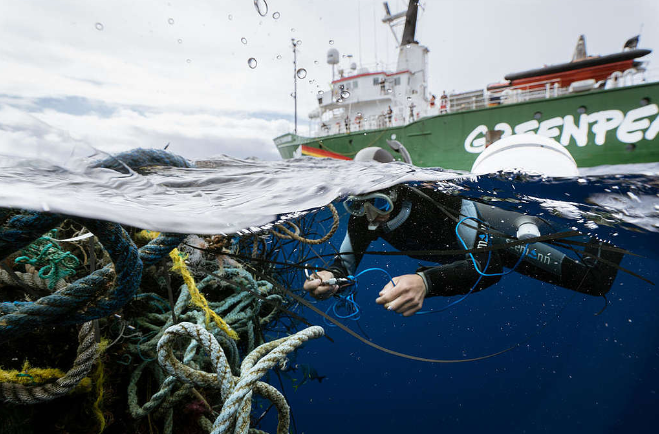 Annex V - Prevention of Pollution by Garbage from Ships