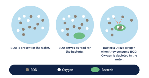 BOD in sewage treatment plant