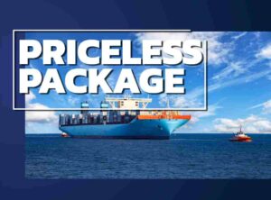 PRICELESS PACKAGE