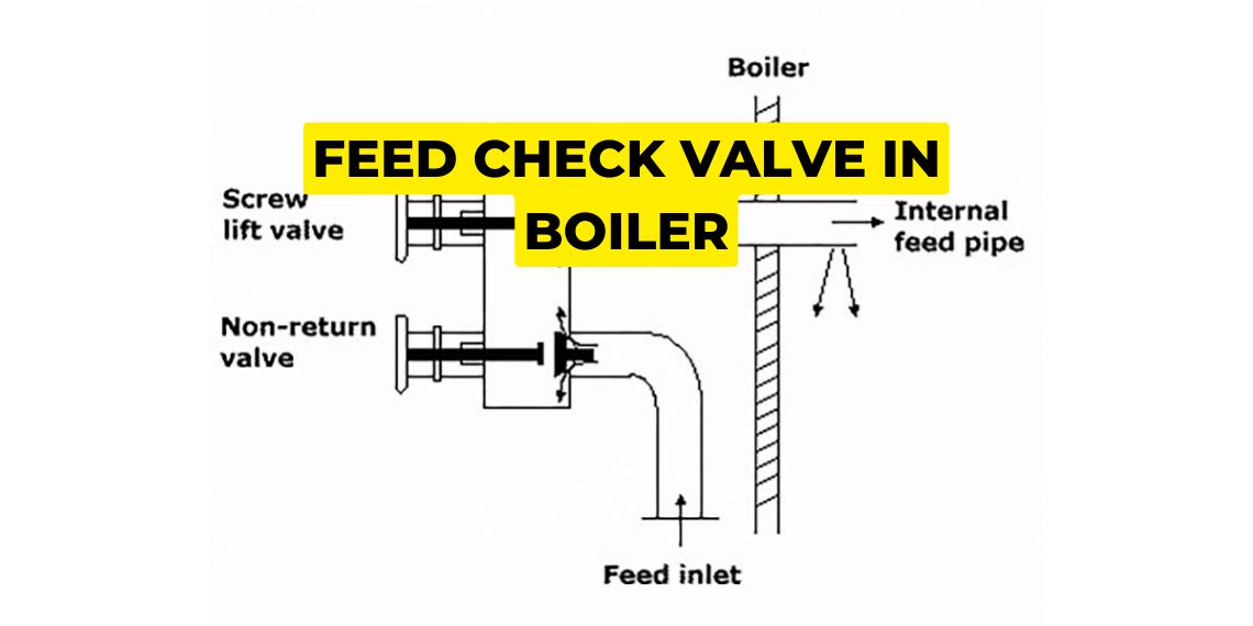 feed check valve