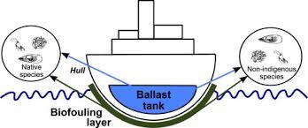 Ballast Water treatment system