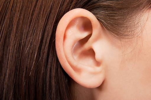 Ear, Teeth & Tongue Requirement